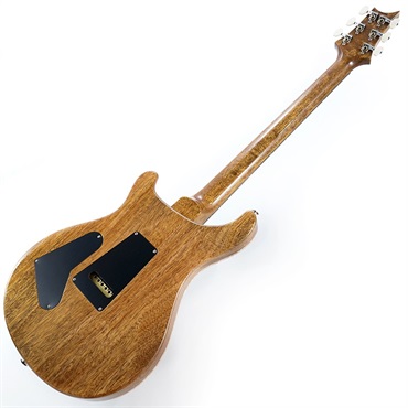 PRS Electric Guitar Book, 30th Anniversary Edition - John