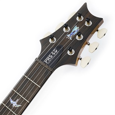 Paul Reed Smith (PRS) エレキギターArtist Package CUSTOM24