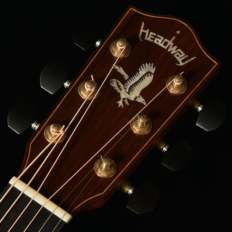Headway The Eagle'25 Type F CN/SKP 【Deviser One Day Guitar