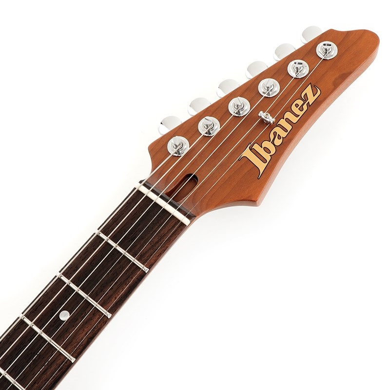 Ibanez 【限定生産モデル】Ibanez AZ2204NW -MGR (Mint Green