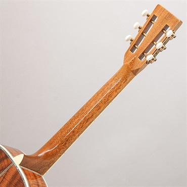 MARTIN CTM Size2-45 K2 / Hide Glue Complete / Danny Brown special collection′s Hawaiian Koa マーチン マーティン 画像9