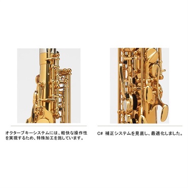 Selmer Paris 【中村誠一氏選定品】アルトサックス セルマー Supreme シュプレーム DGL(ダークゴールドラッカー)【選定料サービス!!】 【調整&セットアップ後出荷】【5年間キーバランス調整無料】 画像3