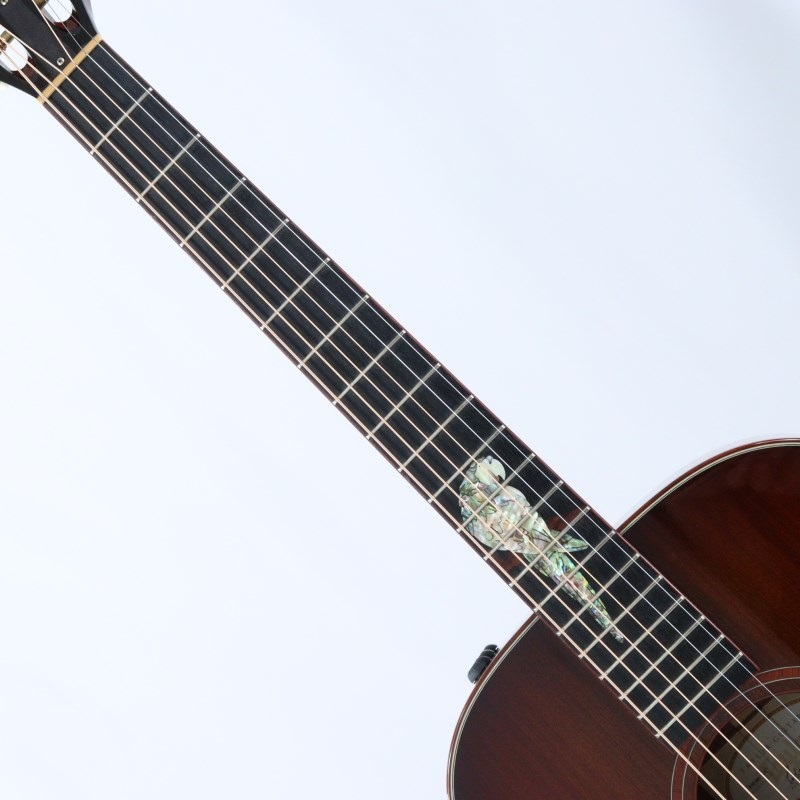 TAYLOR 【USED】 Custom GCe-SR/Og NAMM14 テイラー ｜イケベ