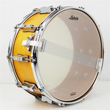 Ludwig LSN364XXPG [NeuSonic Snare Drum 14×6.5 / Satin Golden