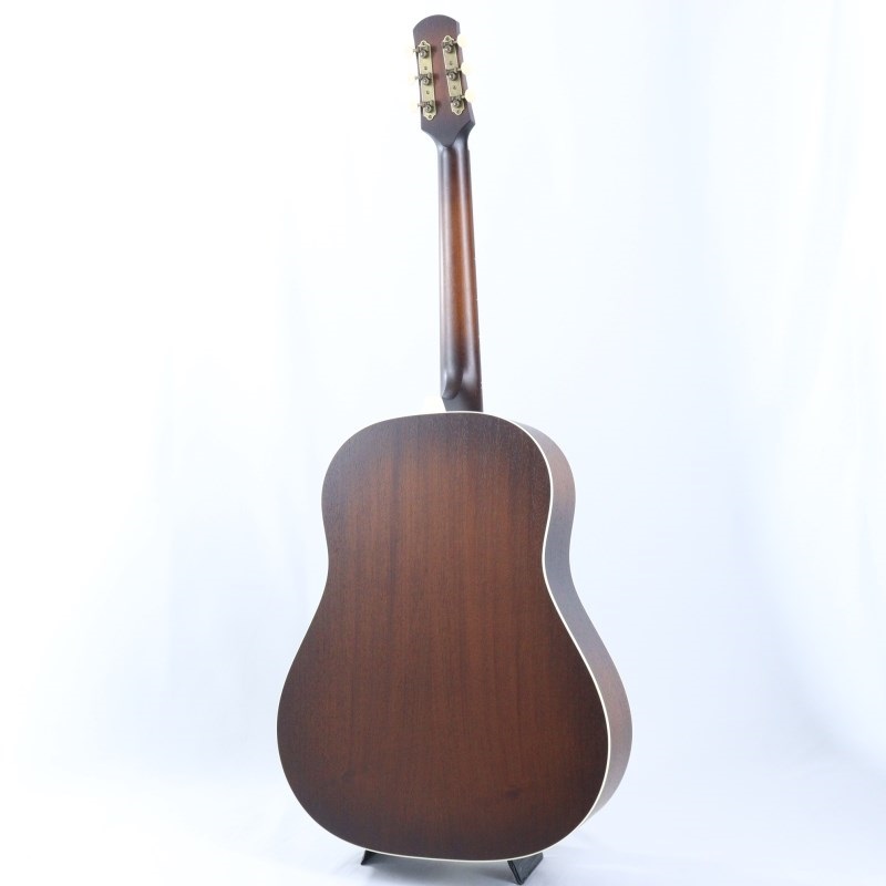 IRIS The DF Model / Adirondack Spruce TBS アイリス ｜イケベ