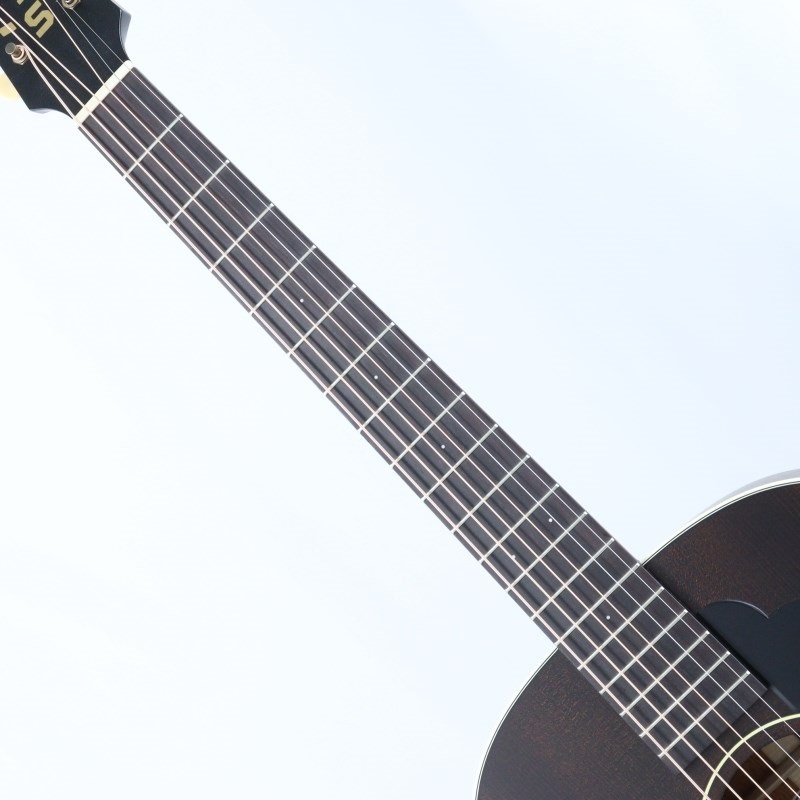 IRIS The DF Model / Adirondack Spruce TBS アイリス ｜イケベ