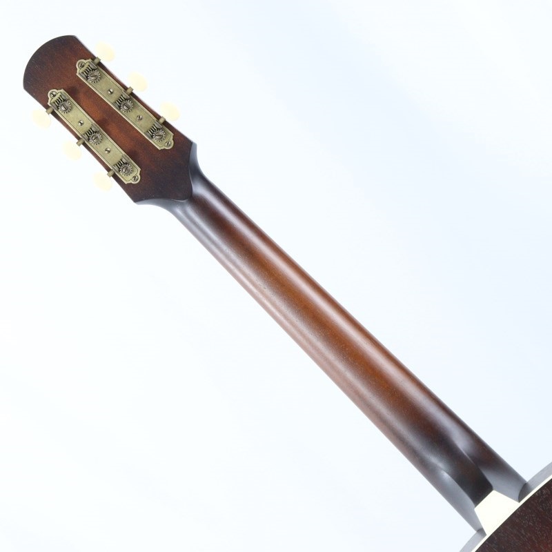 IRIS The DF Model / Adirondack Spruce TBS アイリス ｜イケベ