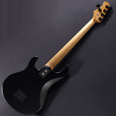 MUSICMAN DarkRay 5/E KID LIMITED COLOR (Stealth Black) 【amPlug 3 Tone Hammerプレゼントキャンペーン】 画像1