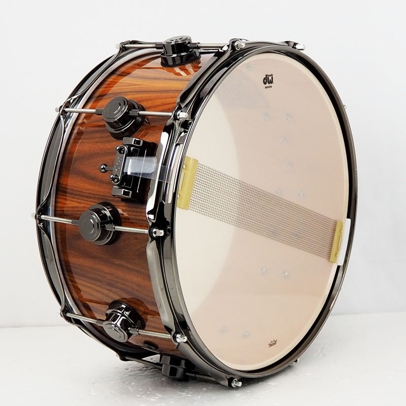 dw DR366514SSN401[Collector's Pure Maple Snare Drum 333