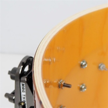 dw DR366514SSN401[Collector's Pure Maple Snare Drum 333