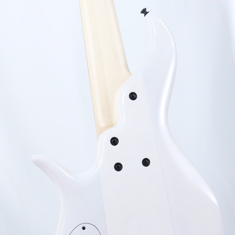 F-bass AC Signature 6strings-TW (Transparent White Gloss F-bass AC Signature 6strings-TW (Transparent White Gloss