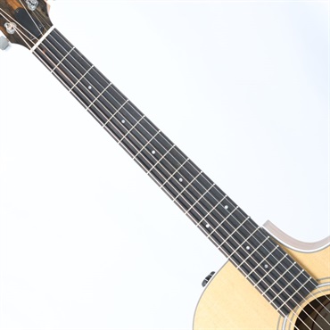 TAYLOR 212ce Walnut テイラー 画像6