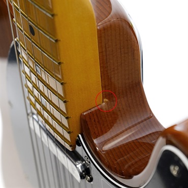 Fender USA American Professional II Telecaster (Roasted Pine/Maple)【B級特価】 画像7