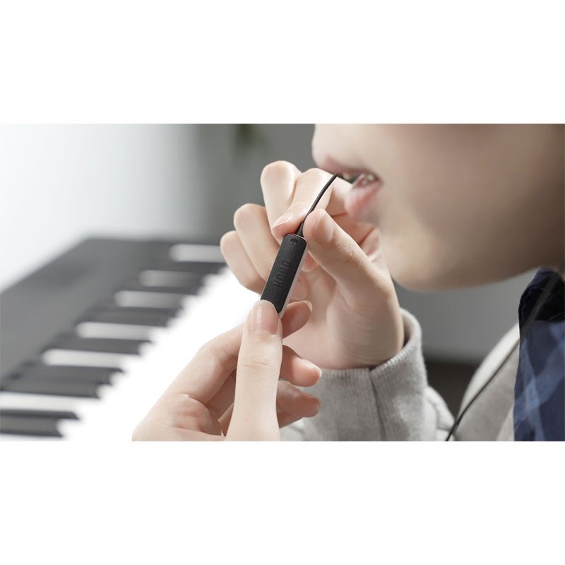 KORG PIANOREC(ピアノレック) 画像6