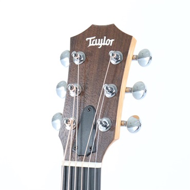 7月1日より価格改定】Taylor（テイラー）値上がり前のラスト