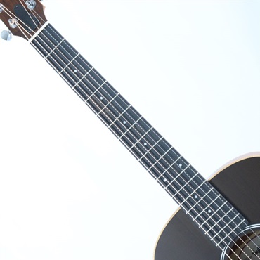 TAYLOR GS Mini-e Special Edition Translucent Black テイラー