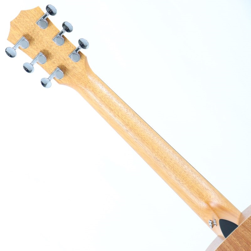 TAYLOR GS Mini-e Special Edition Translucent Black テイラー
