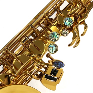 Brasspire Unicorn アルトサックス ブラスパイアー・ユニコーン BPA1-GL 【調整&セットアップ後出荷】【5年間キーバランス調整無料】 画像3