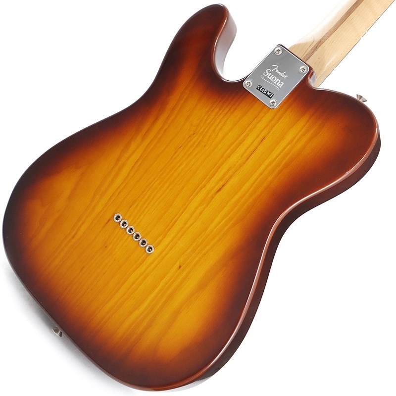 Fender Telecaster Thinline コンポーネント中古品 Fender Made in Japan Limited F-Hole Telecaster Thinline