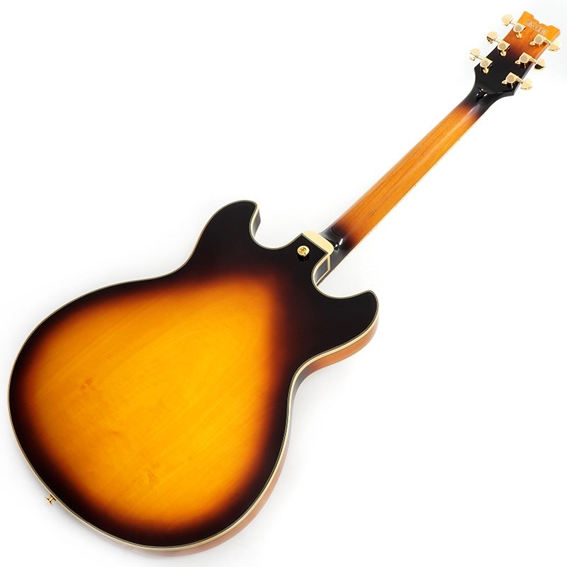 Ibanez JSM10EM-TTB (Two-tone Burst) [John Scofield Model