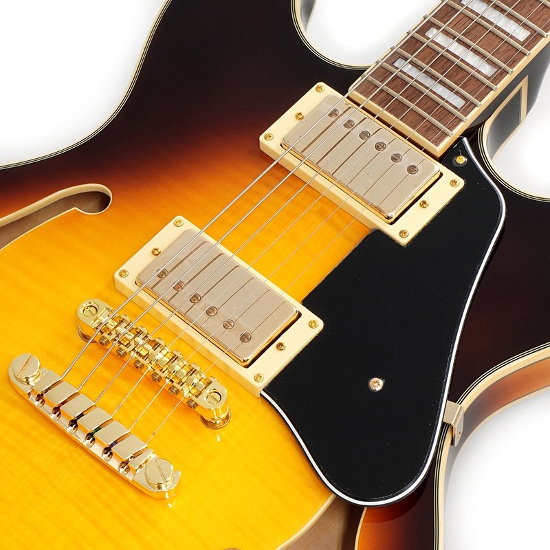 Ibanez JSM10EM-TTB (Two-tone Burst) [John Scofield Model