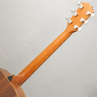 Taylor Academy 12 / Nylon （新品/送料無料）【楽器検索