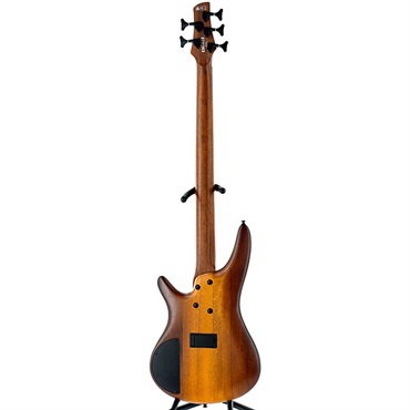 Ibanez SR505E-VBF 【特価】 画像3