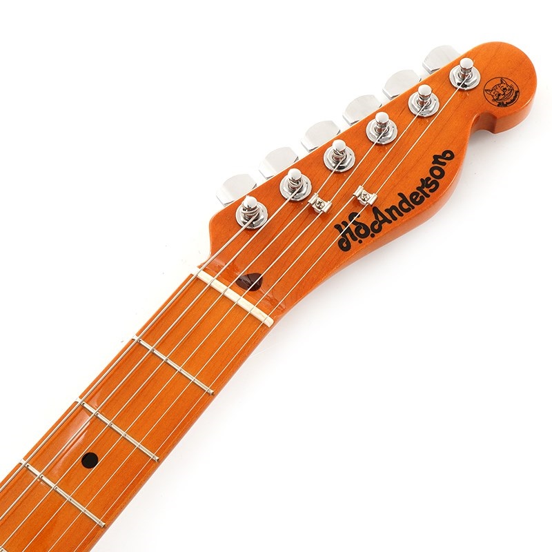 H.S.Anderson HS-1 MAD CAT 【SN.24067】 ｜イケベ楽器店