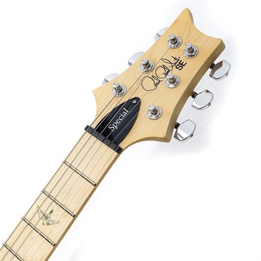P.R.S. 【USED】SE Swamp Ash Special (Charcoal) SN.CTIF089955 画像6