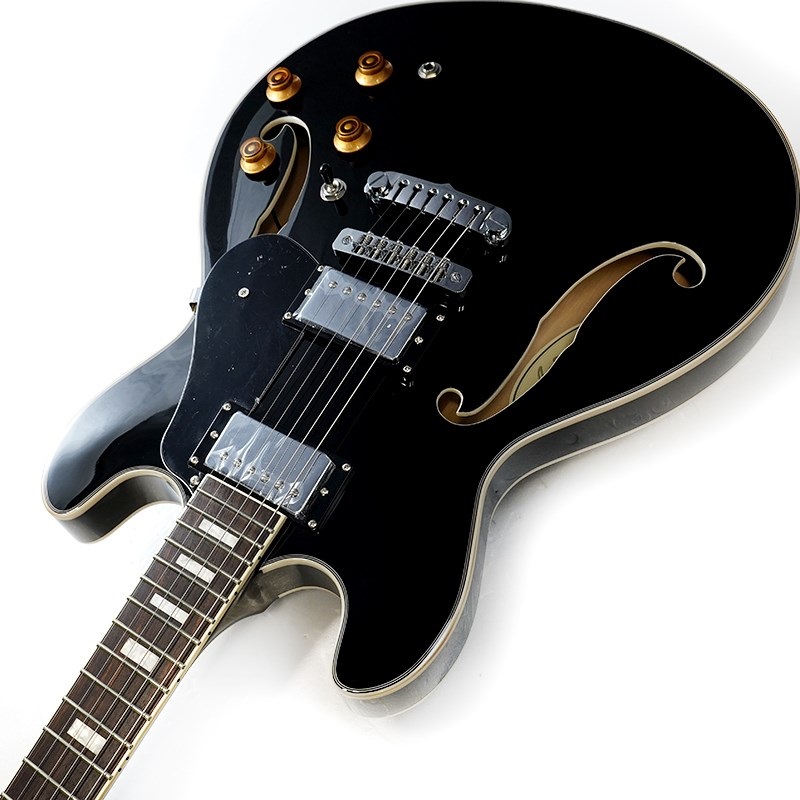 Aria ProII TA-200 BK (Black) ｜イケベ楽器店オンラインストア