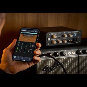 BOSS WAZA Tube Amp Expander Core [W-TAE CORE] 画像7