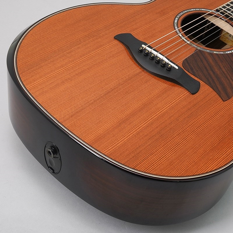ドラゴンボール様【調整必要】Taylor 110e アコースティック