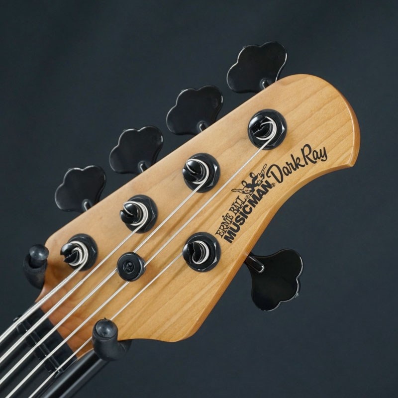 MUSICMAN 【USED】 DarkRay 5 (Starry Night) '23 画像6