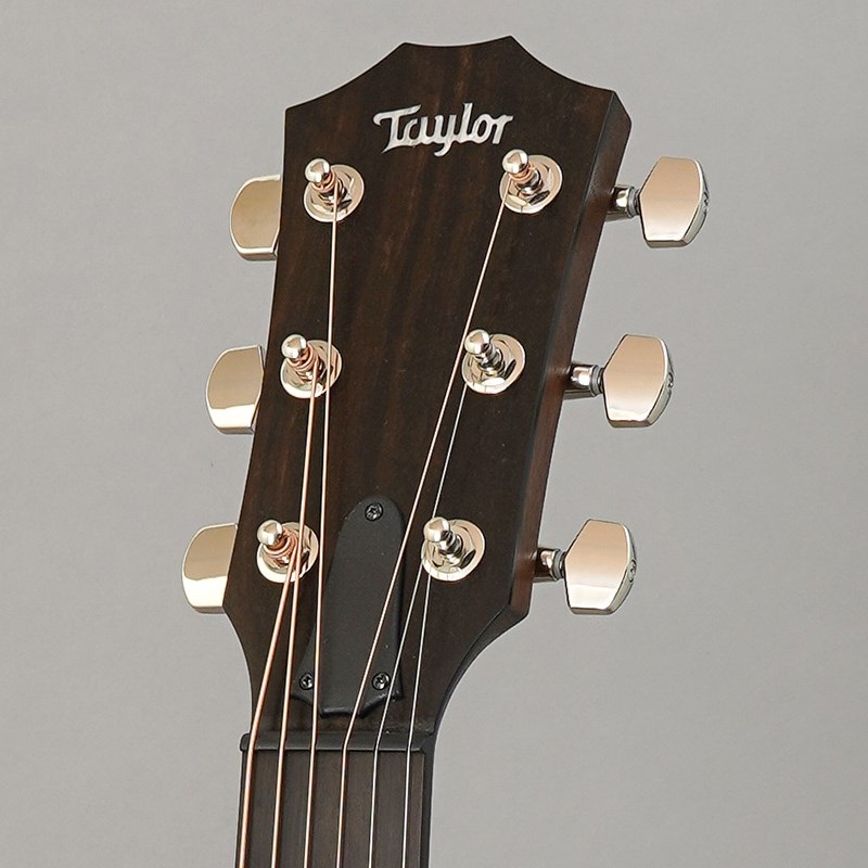 TAYLOR AD27 w/Element VTC テイラー ｜イケベ楽器店オンライン