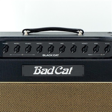 Bad Cat USED 中古 BLACK CAT 1x12 Combo 画像5