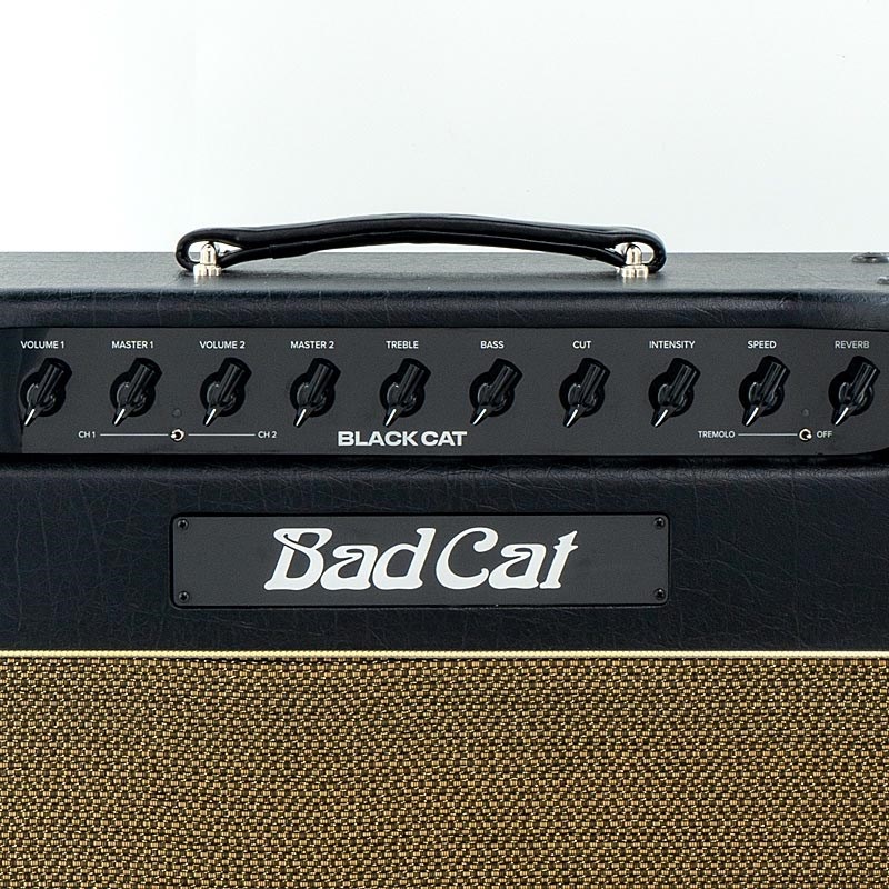 Bad Cat USED 中古 BLACK CAT 1x12 Combo 画像5