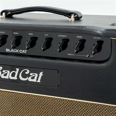 Bad Cat USED 中古 BLACK CAT 1x12 Combo 画像6