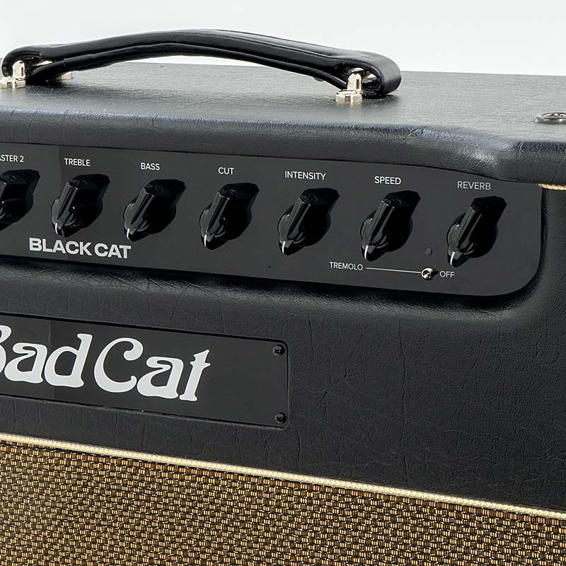 Bad Cat USED 中古 BLACK CAT 1x12 Combo 画像6