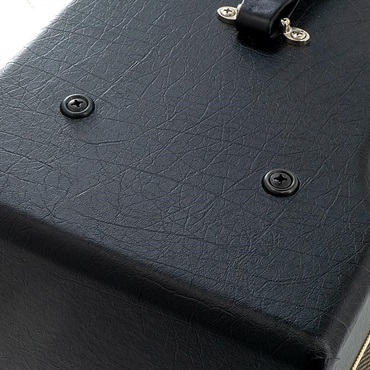 Bad Cat USED 中古 BLACK CAT 1x12 Combo 画像9