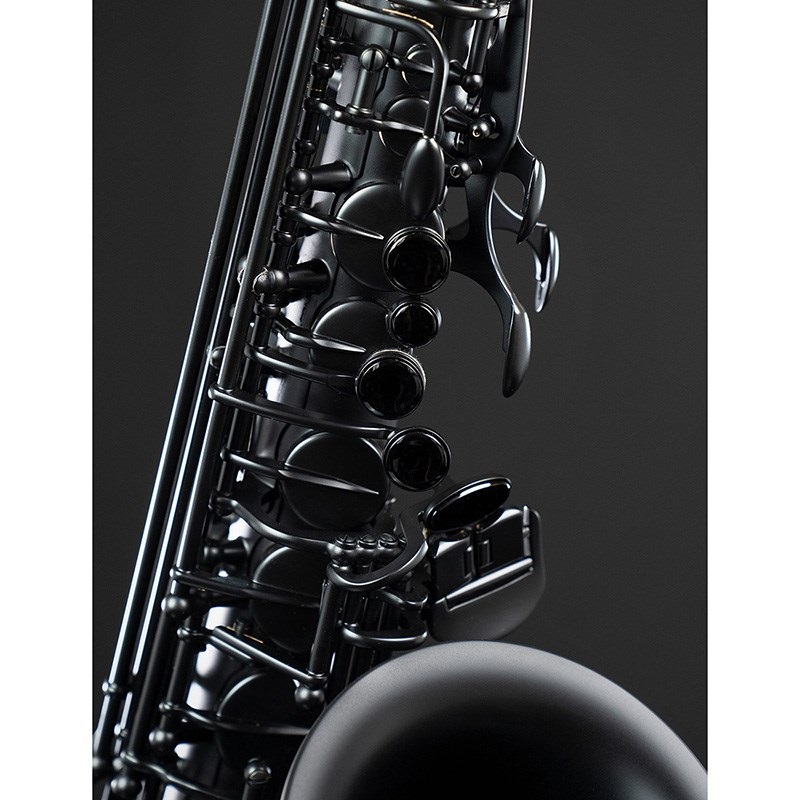 Selmer Paris 【限定モデル】テナーサックス セルマー Supreme