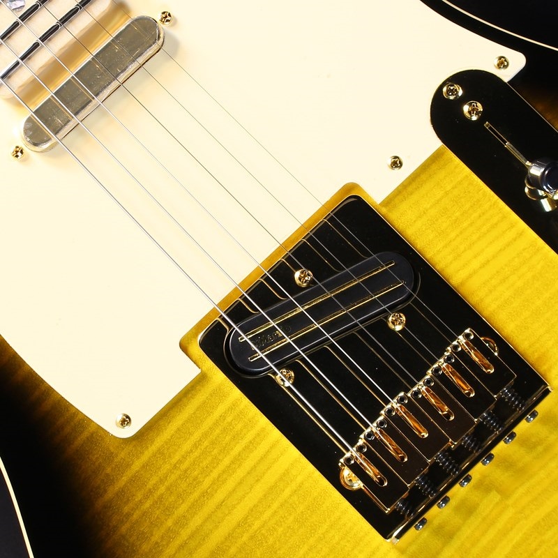 Fender Made in Japan Ritchie Kotzen Tele (Brown Sunburst)【数量限定！！ストラッププレゼント！！】 画像3