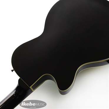 Duesenberg DTV-SG Starplayer TV (Surf-Green)【特価】 画像6