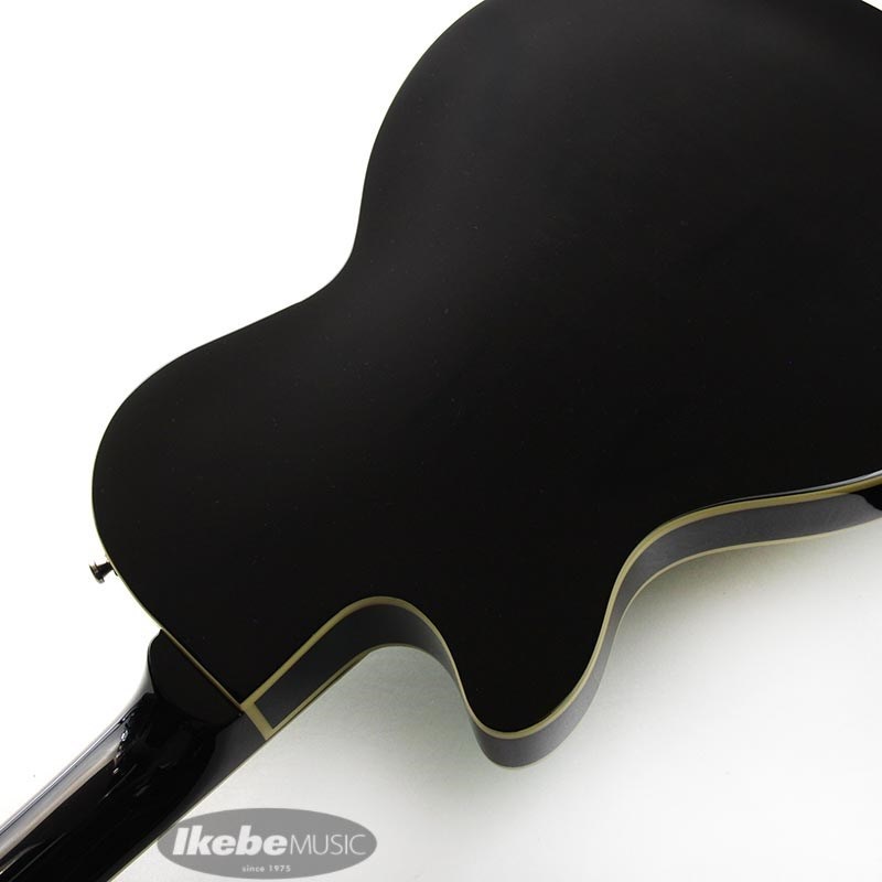 Duesenberg DTV-SG Starplayer TV (Surf-Green)【特価】 画像6