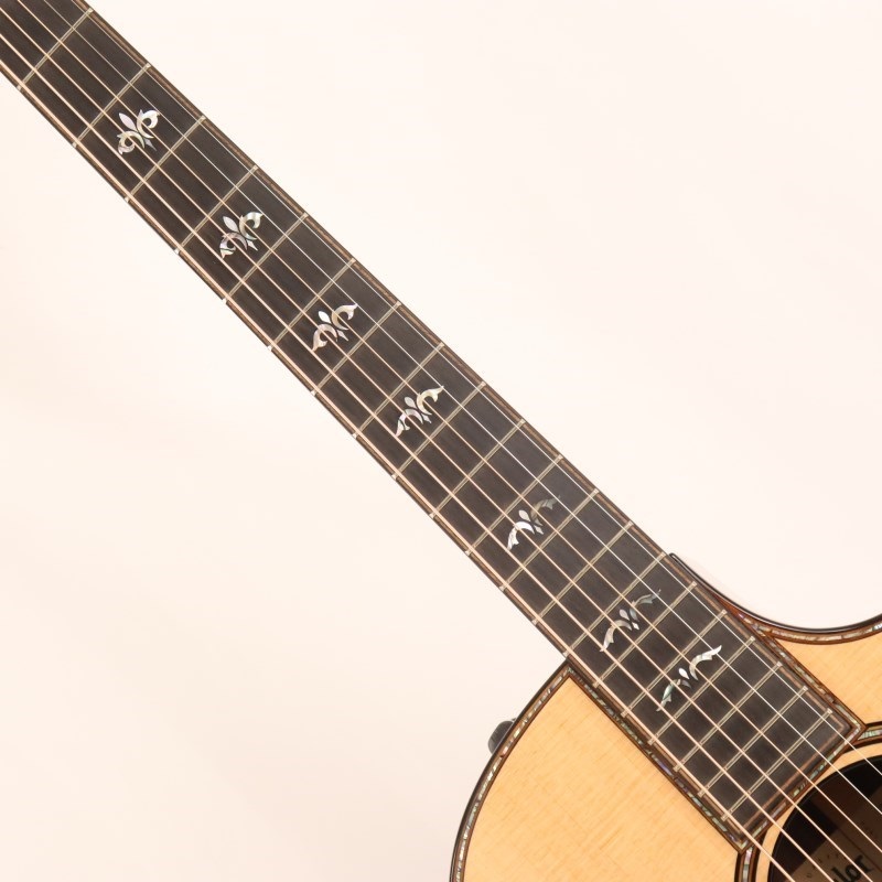 TAYLOR 914ce V-Class テイラー ｜イケベ楽器店オンラインストア