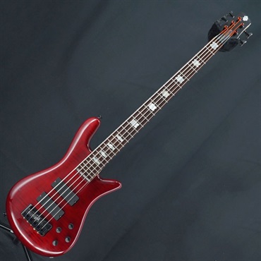 SPECTOR 【USED】 ReBop 5DLX (Black Cherry) '12 画像2