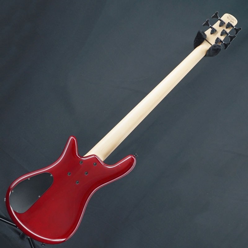 SPECTOR 【USED】 ReBop 5DLX (Black Cherry) '12 画像3