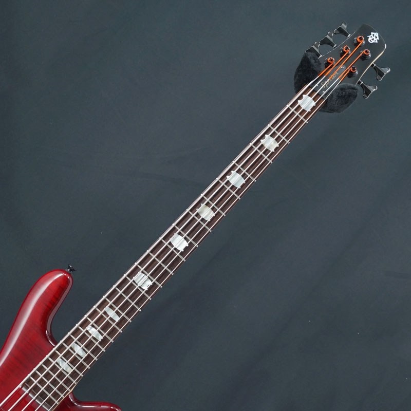SPECTOR 【USED】 ReBop 5DLX (Black Cherry) '12 画像4