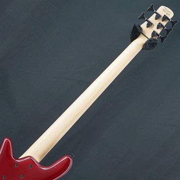 SPECTOR 【USED】 ReBop 5DLX (Black Cherry) '12 画像5
