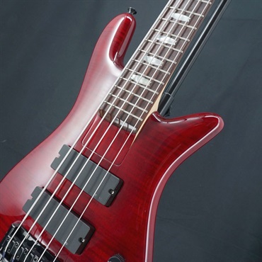 SPECTOR 【USED】 ReBop 5DLX (Black Cherry) '12 画像8