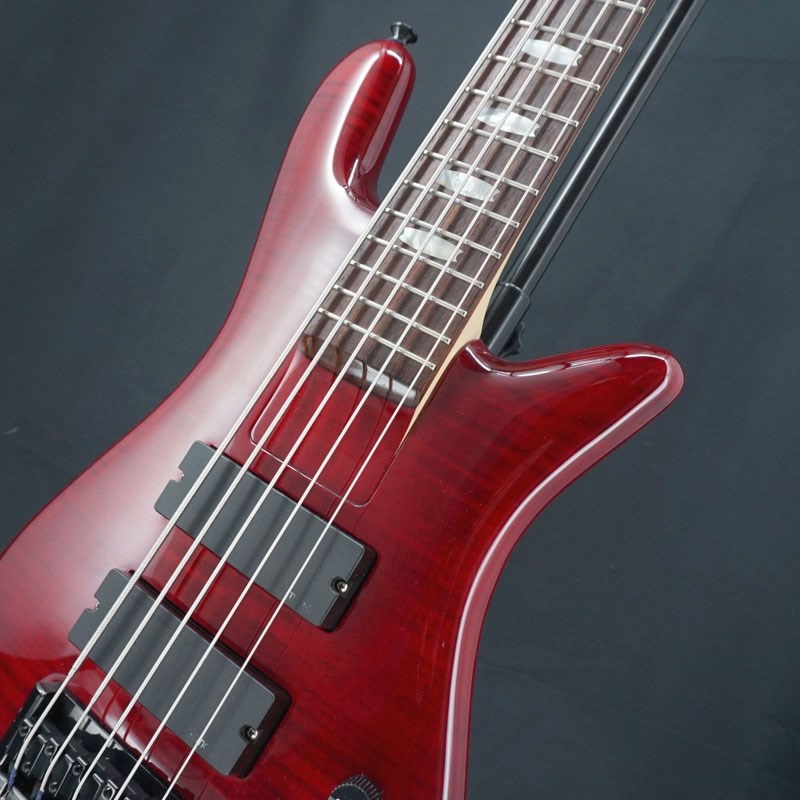 SPECTOR 【USED】 ReBop 5DLX (Black Cherry) '12 画像8